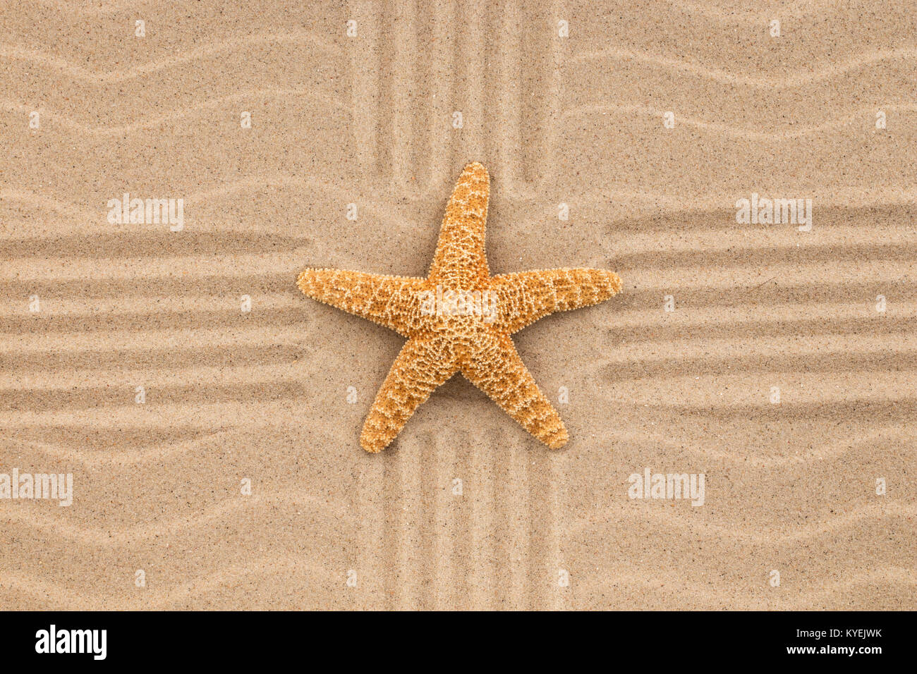 Sommer wallpaper. Auf Sand, Seesterne, Strand Hintergrund. Ansicht von oben Stockfoto