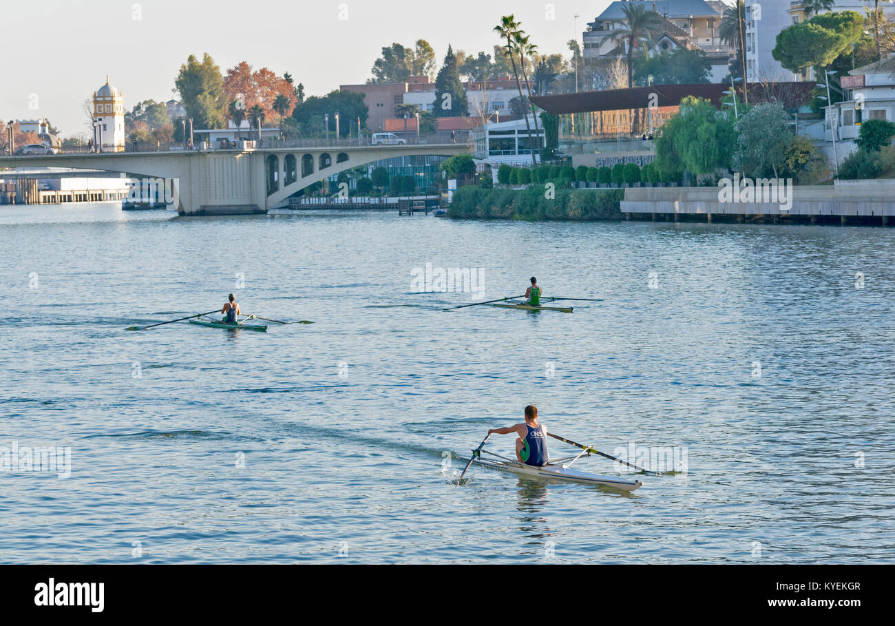 Sevilla Spanien drei RUDERER SCULLERS oder auf den Guadalquivir Fluss in der NÄHE DES PASSEO CRISTOBAL COLON Stockfoto