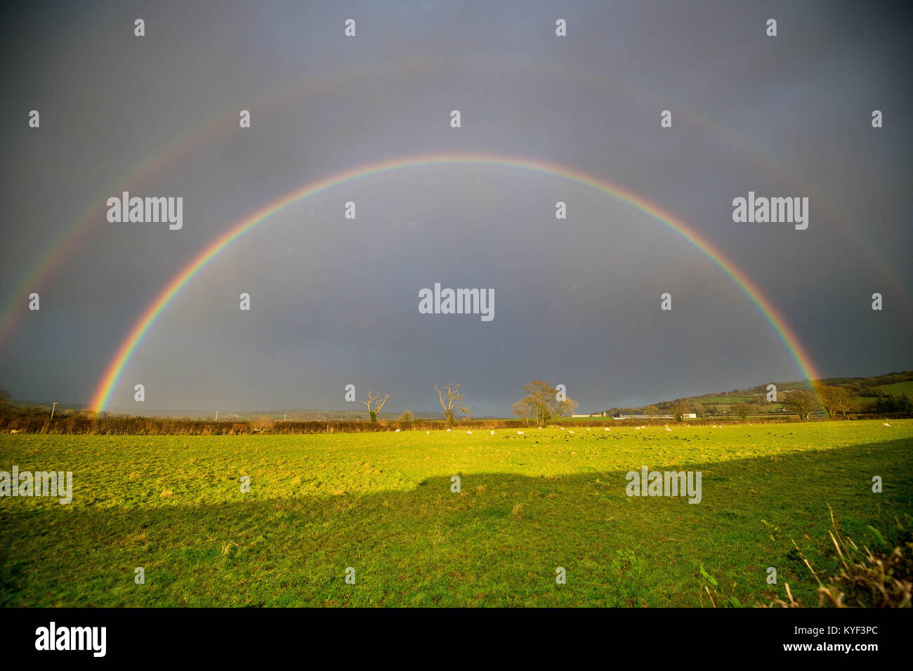 Sonntag, 12 November 2017 erstaunliche Double Rainbow dargestellt in der Nähe von Bancyfelin, Carmarthenshire, Wales, Großbritannien Stockfoto