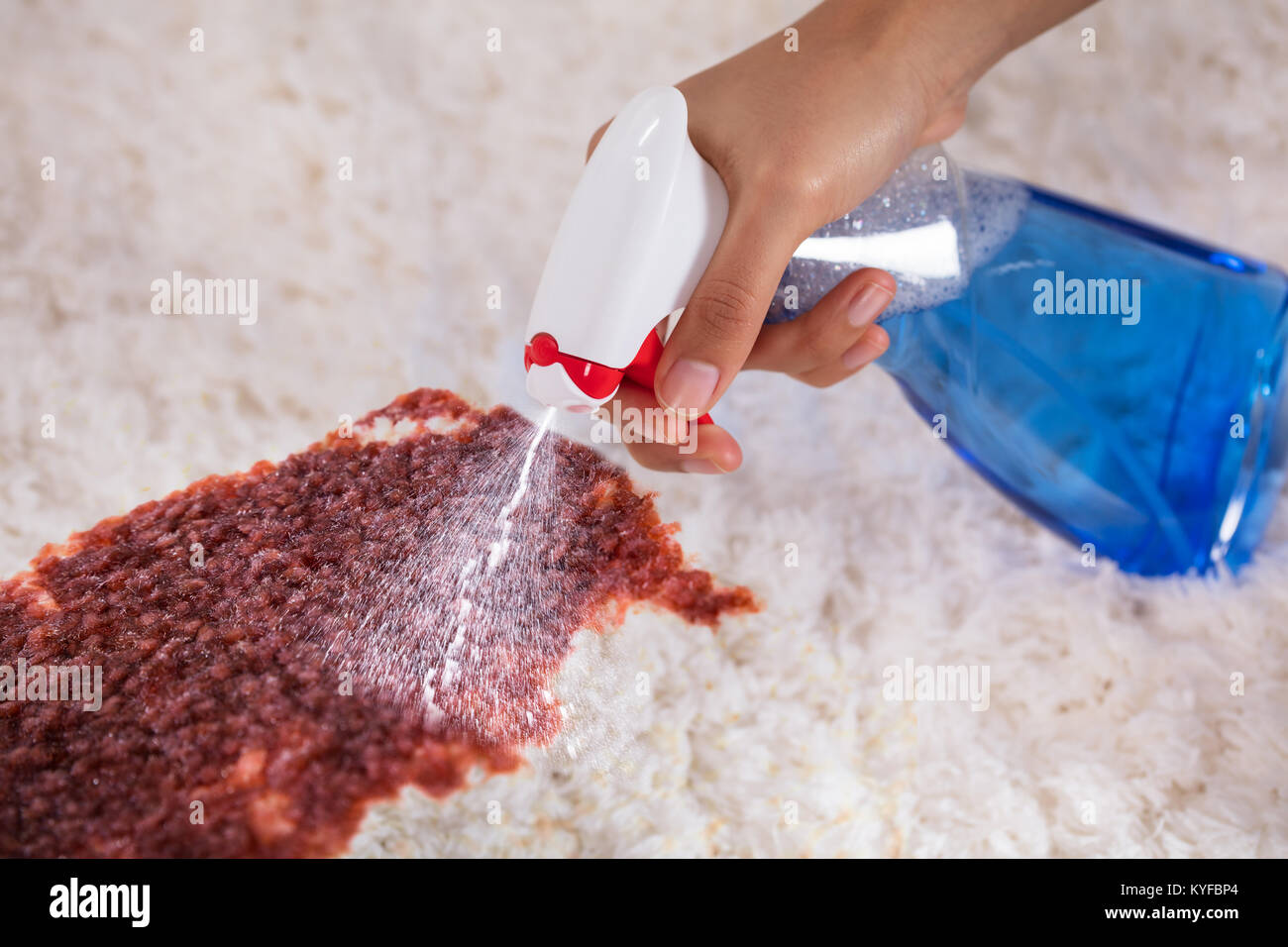 Person's Hand Reinigung Fleck auf dem Teppich mit Waschmittel Sprühflasche  Stockfotografie - Alamy