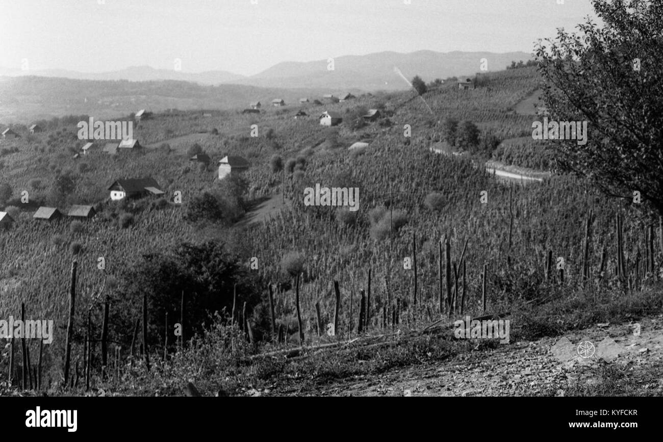 Vinogradi Fotos und Bildmaterial in hoher Auflösung Alamy