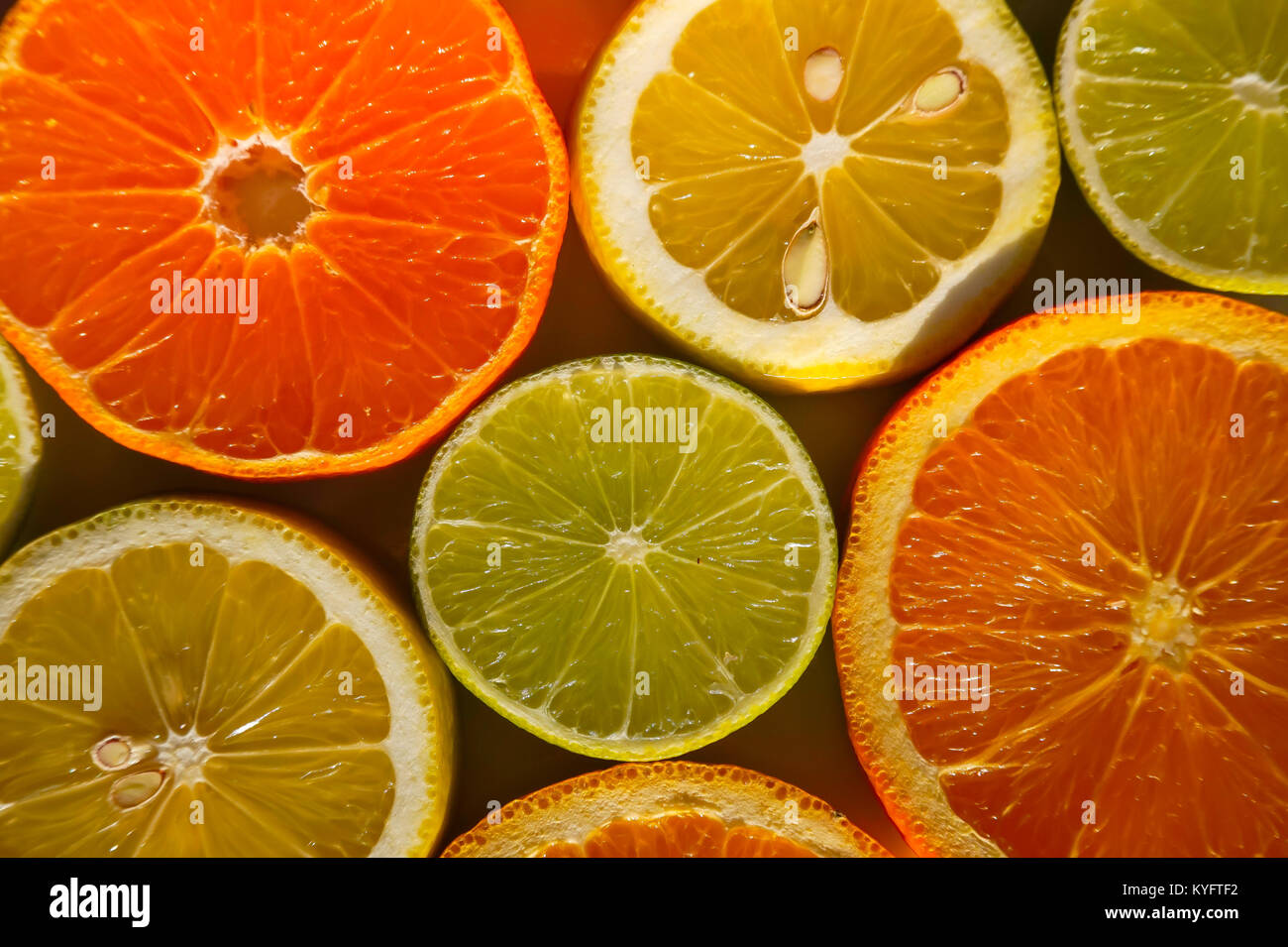 Scheiben von Orangen, Zitronen, Limonen und Mandarinen Stockfoto