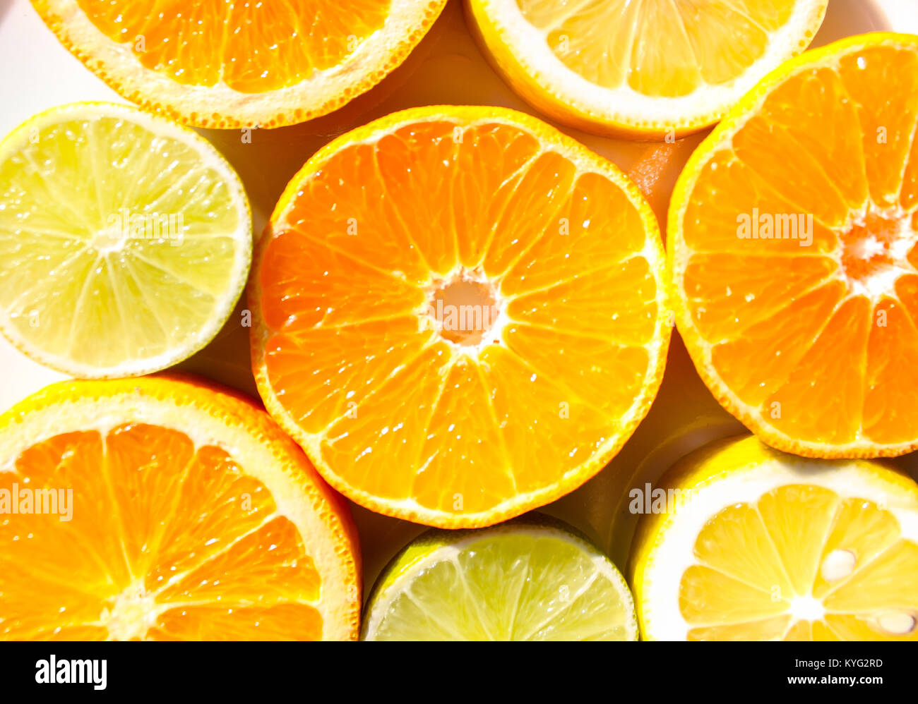 Scheiben von Orangen, Zitronen, Limonen und Mandarinen Stockfoto
