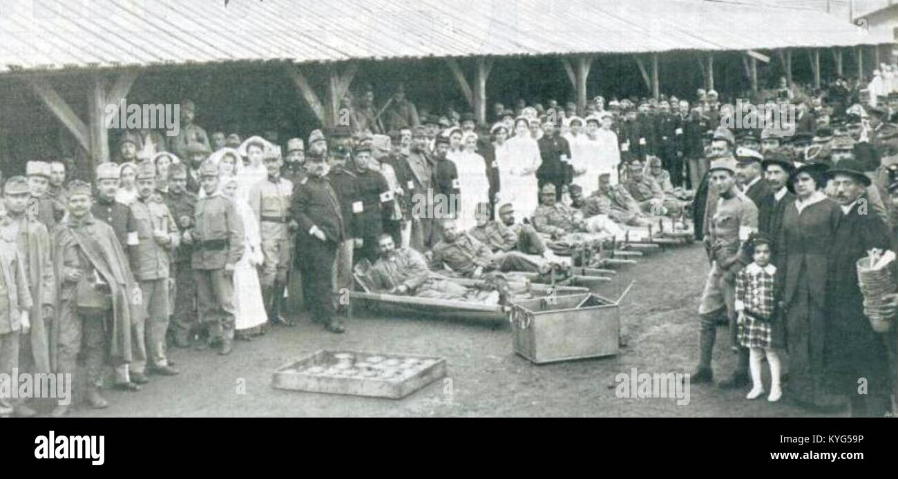 Prenos ranjencev dne 11. novembra 1914. na ljubljanski železniški postaji Stockfoto
