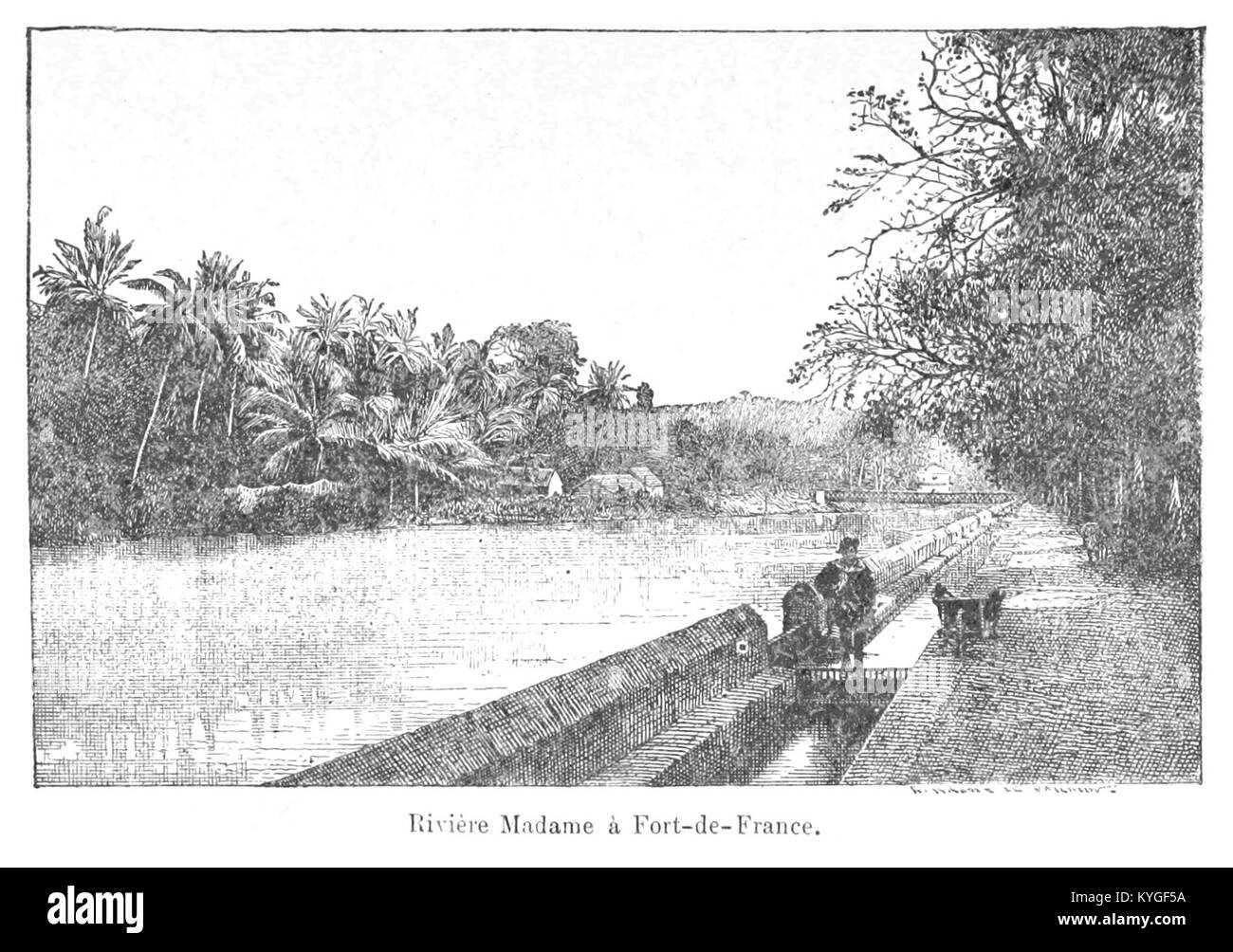 Rivière Madame in Fort-de-France, Martinique, ist ein Fluss, der durch die Stadt fließt und zur Geographie und natürlichen Umgebung beiträgt. Dieses Bild spiegelt wahrscheinlich seine Bedeutung in der Stadtlandschaft von Fort-de-France wider. Stockfoto