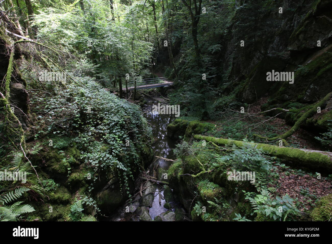 Wasserfälle in Baden-Württemberg, Deutschland Stockfoto