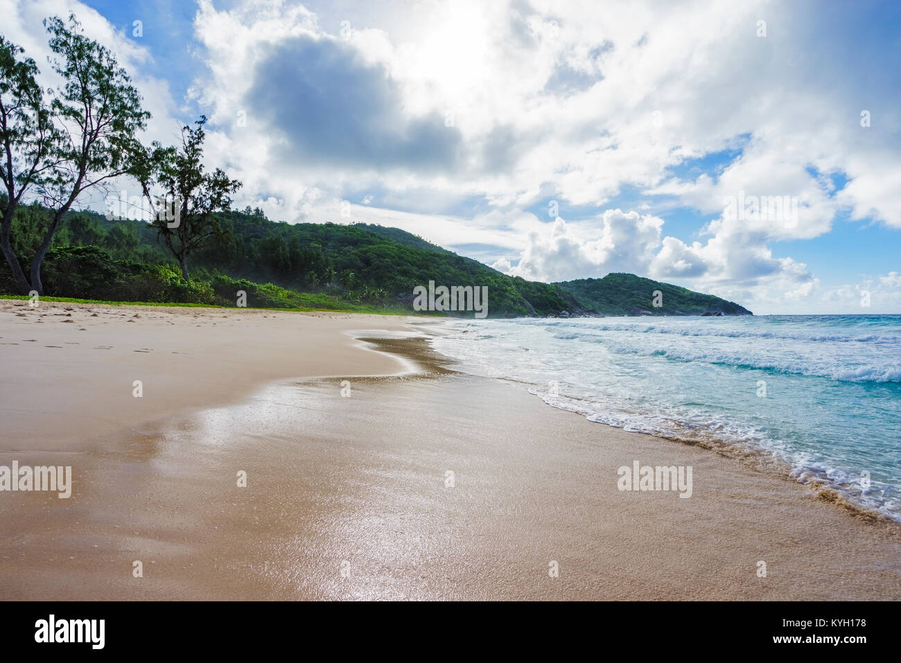 Wild Tropischer Strand mit Palmen in einem Dschungel, Sand und eine rauhe See an der Polizei Bay auf den Seychellen an einem bewölkten Tag Stockfoto