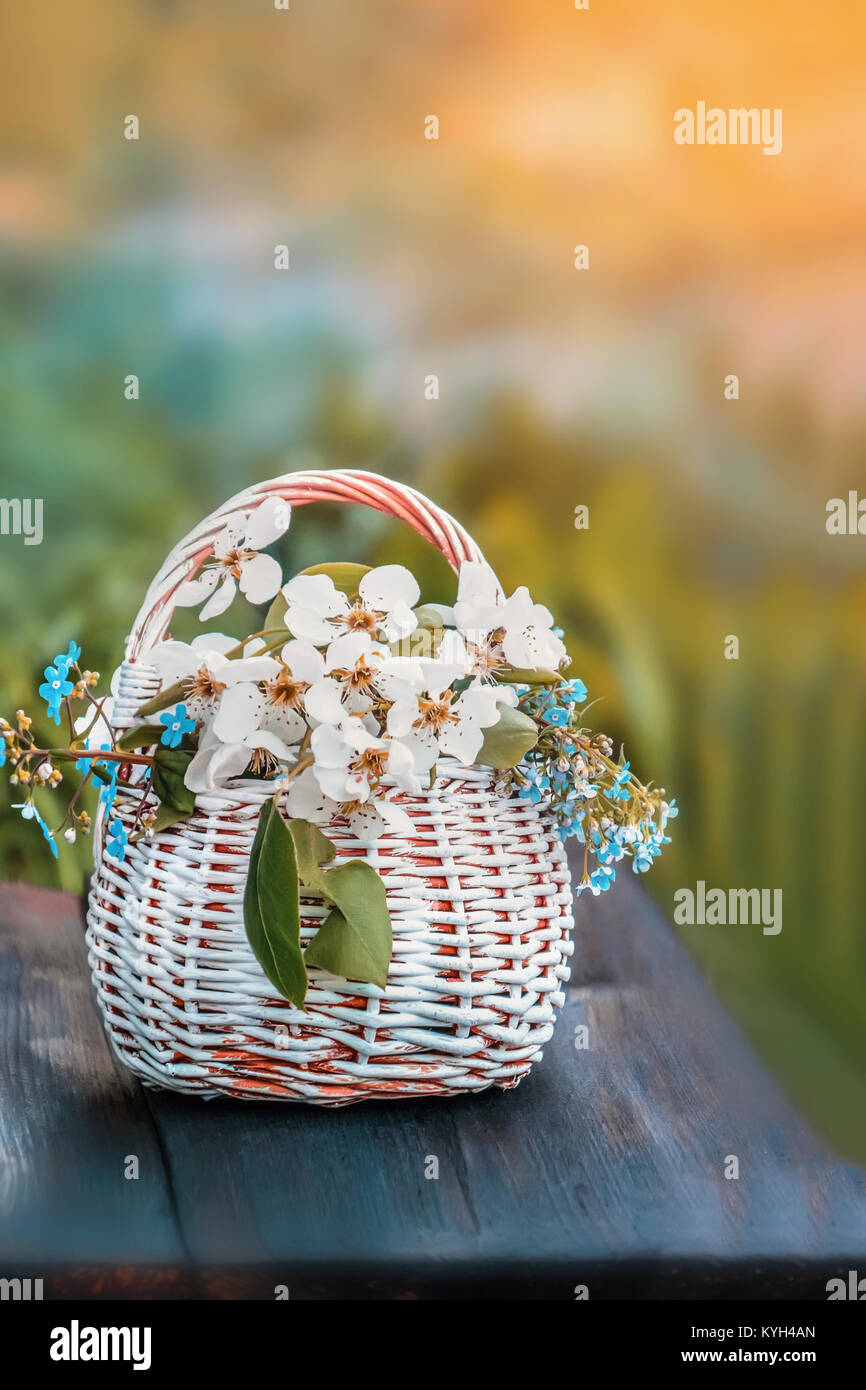 Einen Strauß Vergissmeinnicht und Apple Blüten und Birnen in einen Korb Holz- korb auf Grün verschwommenen Hintergrund. Das Geschenk. Kopieren Sie Platz. Stockfoto