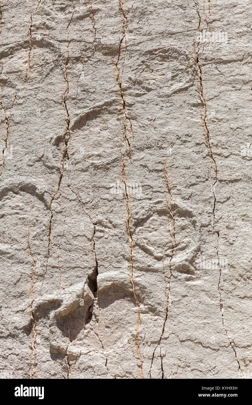 Echten dinosaur Footprint bedruckt im Fels. Nacional Park in Sucre, Bolivien. Foto Stockfoto