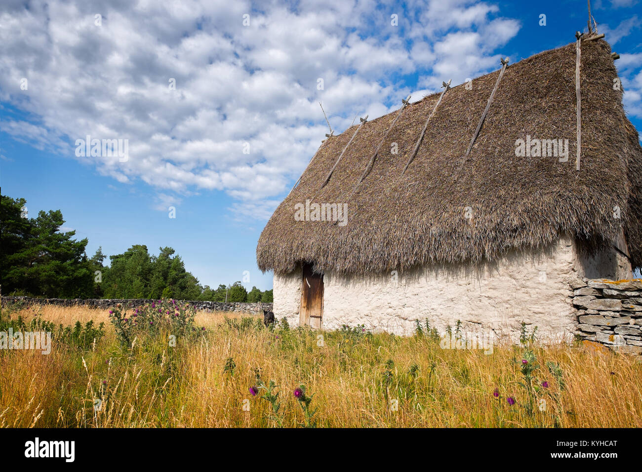 Gotland, Schweden Alte Scheune mit einem Strohdach in einem Feld von hohem Gras und Wildblumen. Blauen Himmel mit vereinzelten Wolken. Schönen Sommertag Stockfoto