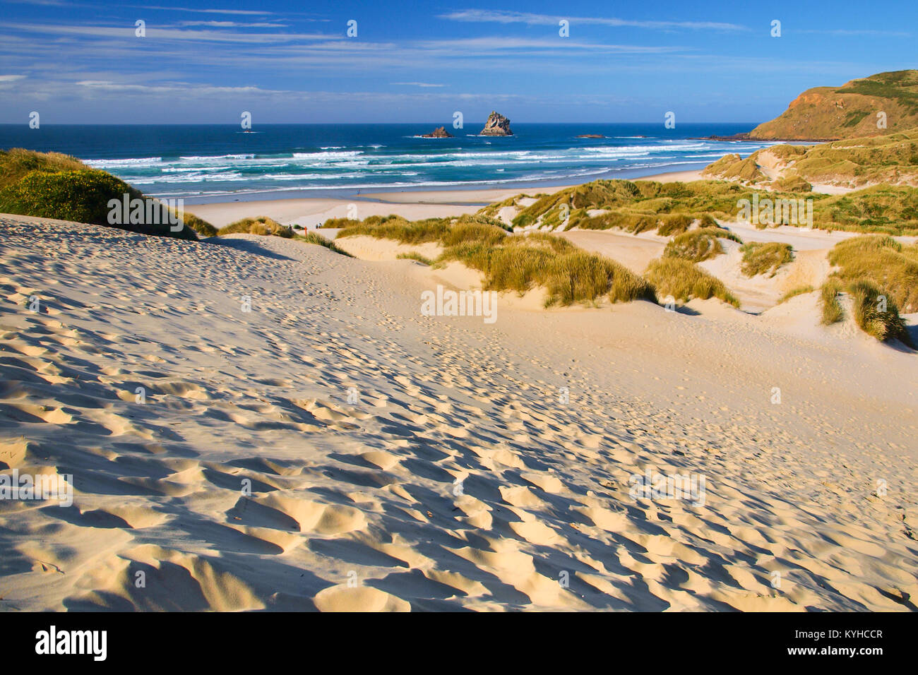 Einladenden Strand und Dünen bei Halbinsel Otago, Neuseeland Stockfoto