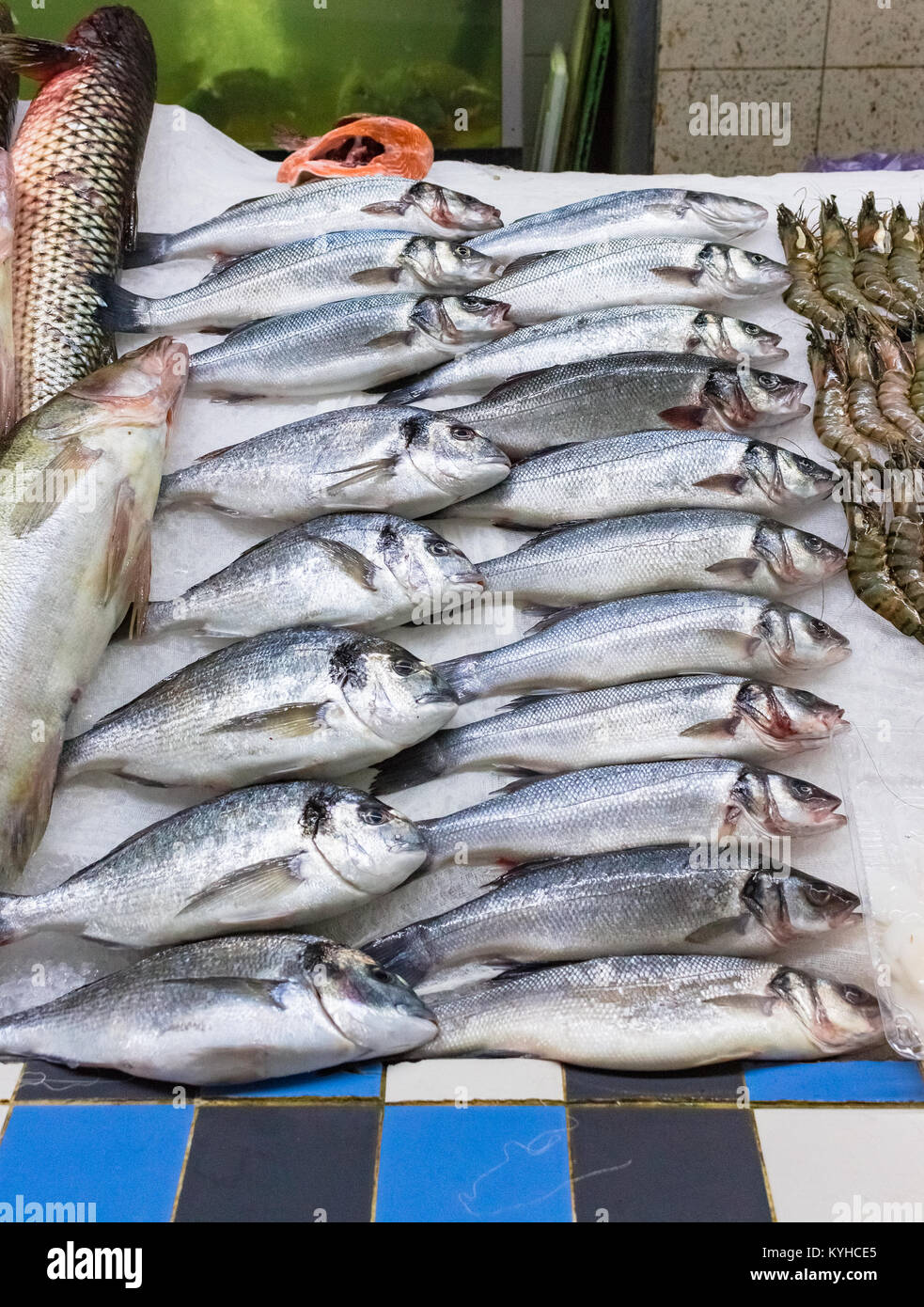 Vielzahl an raw frischen Fisch. Filet auf Crushed Eis. Nahaufnahme mit dem Raum. Fischmarkt Konzept. Fang von Fisch auf dem Fischmarkt Stockfoto