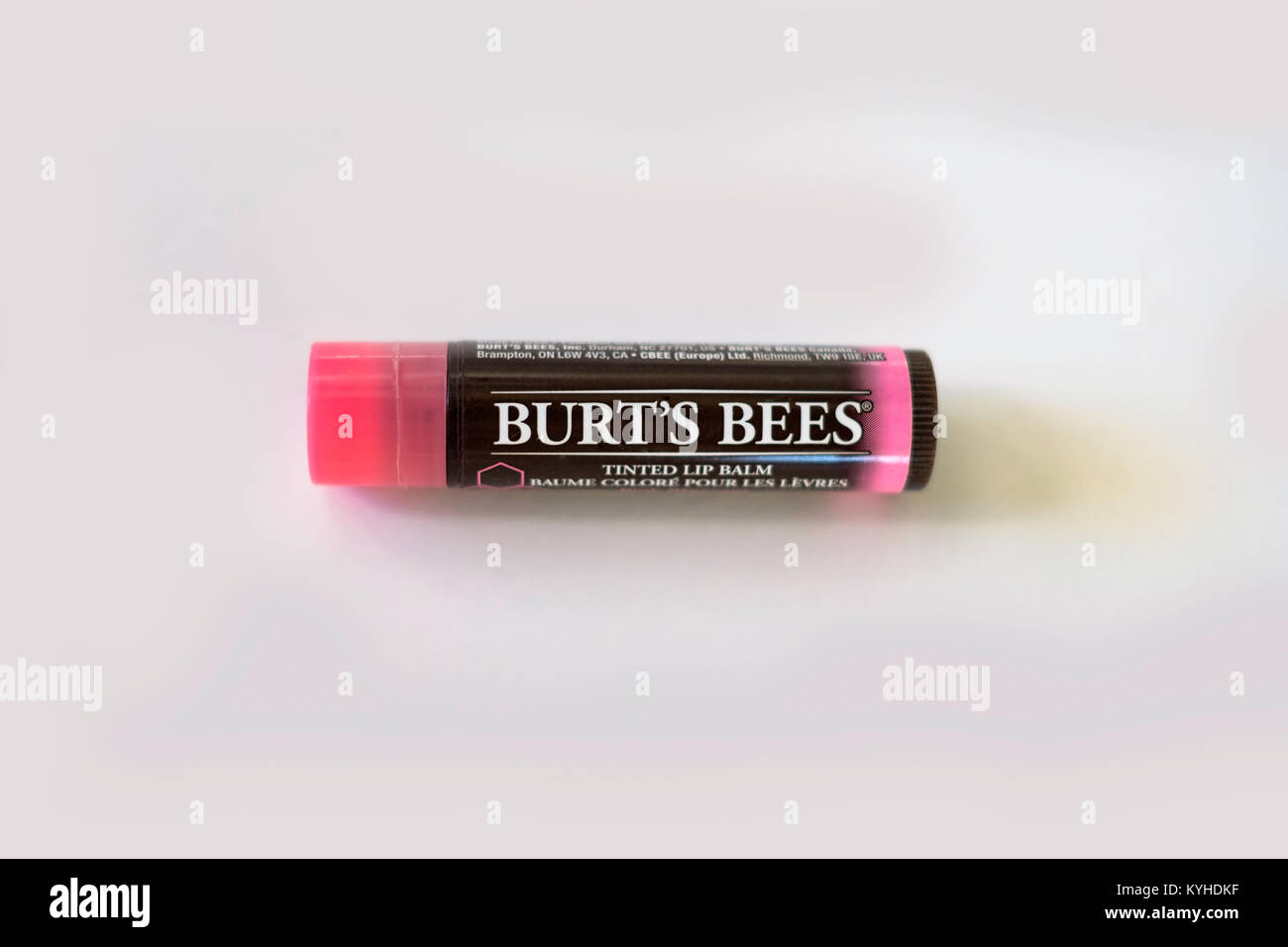 Eine Tube rosafarbene Burt's Bees Lippenbalsam auf einem weißen Hintergrund. Ausschnitt aus. USA. Stockfoto