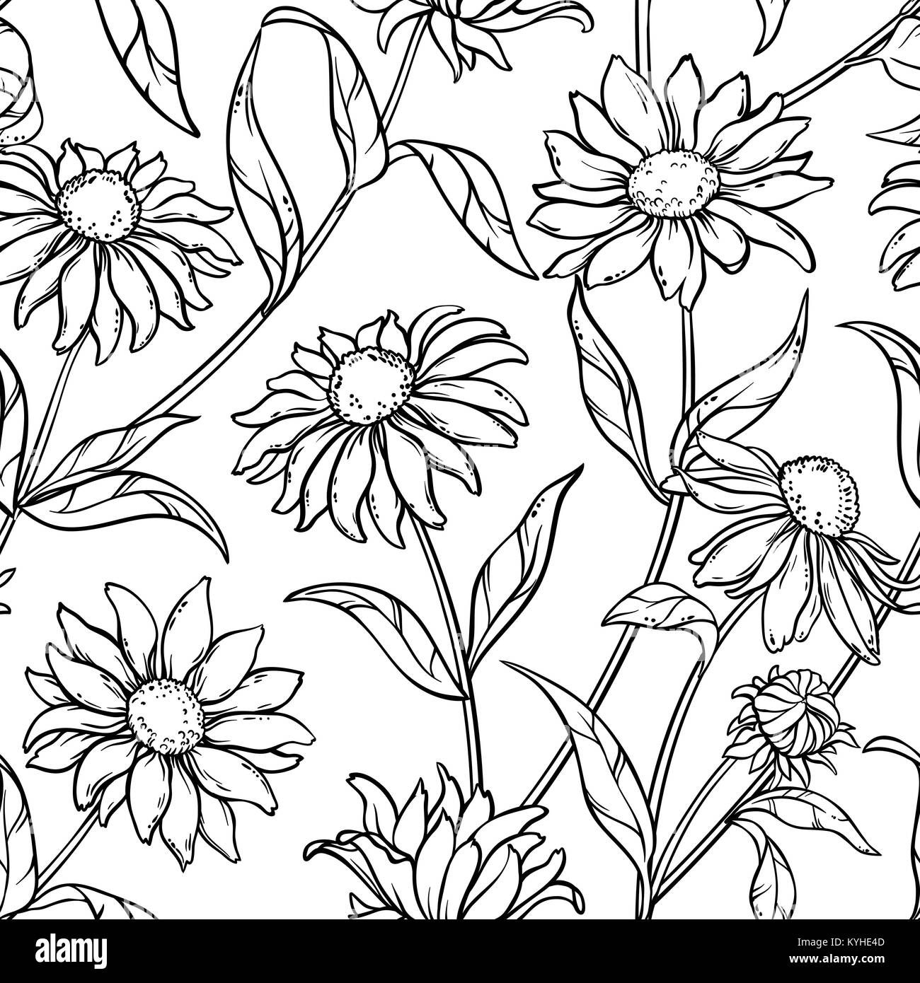 Echinacea Pflanze vseamless Muster auf weißem Hintergrund Stock Vektor