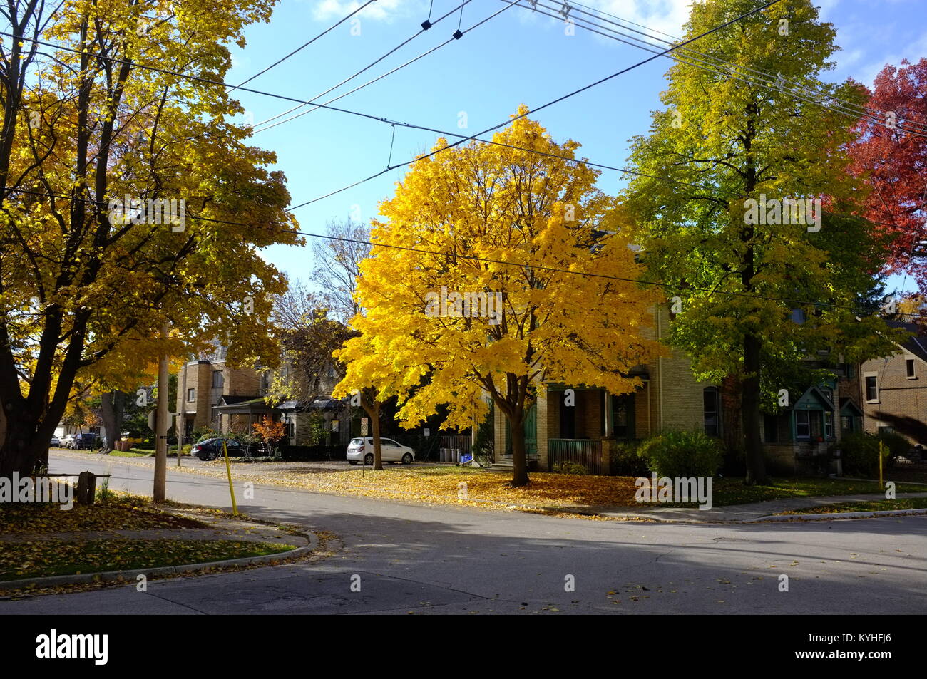 Herbstliche Farben in der kanadischen Stadt London, Ontario. Stockfoto