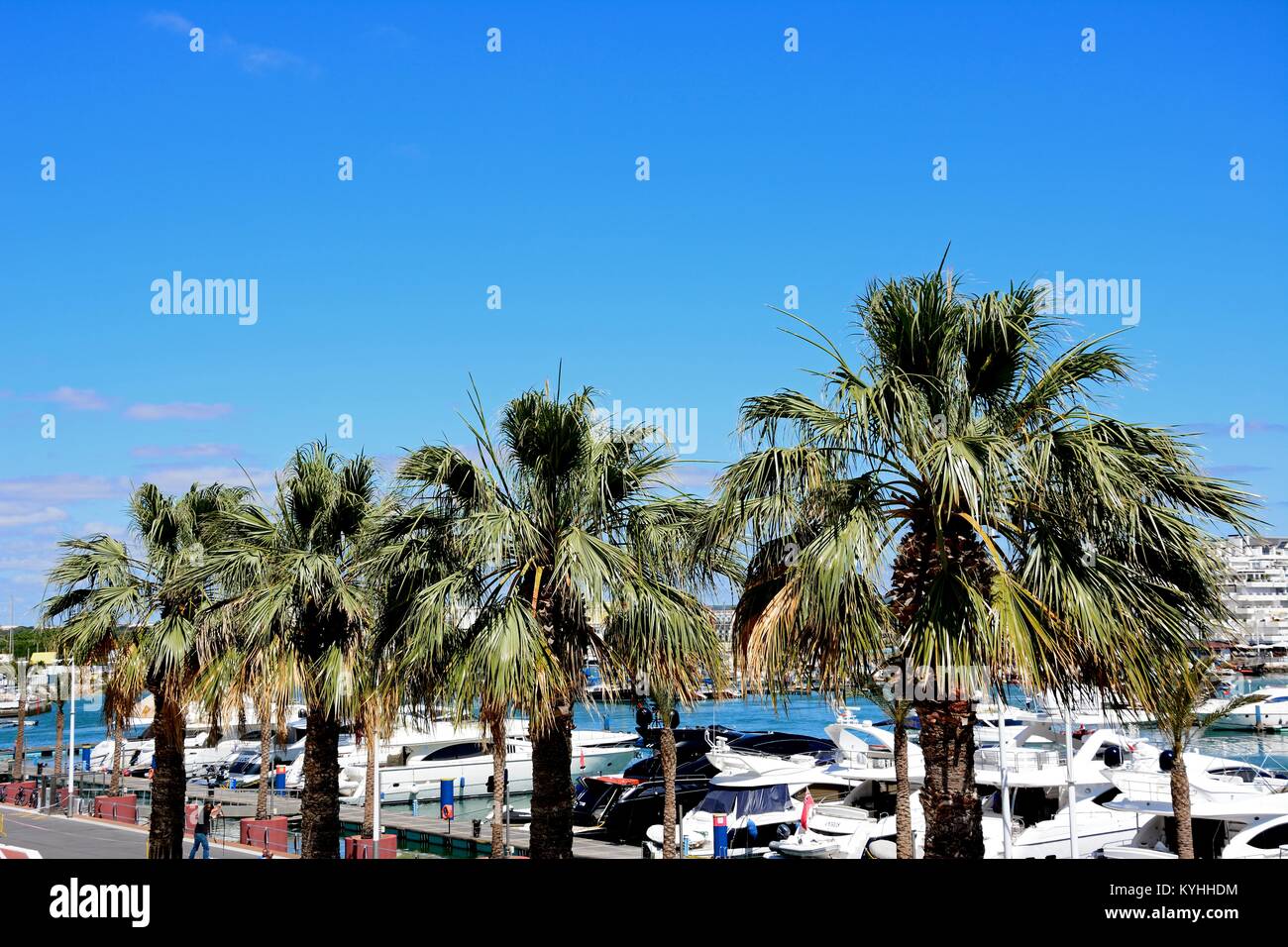 Erhöhten Blick auf die Palmen gesäumten Promenade mit luxuriösen Yachten in der Marina auf der Rückseite, Vilamoura, Algarve, Portugal, Europa. Stockfoto