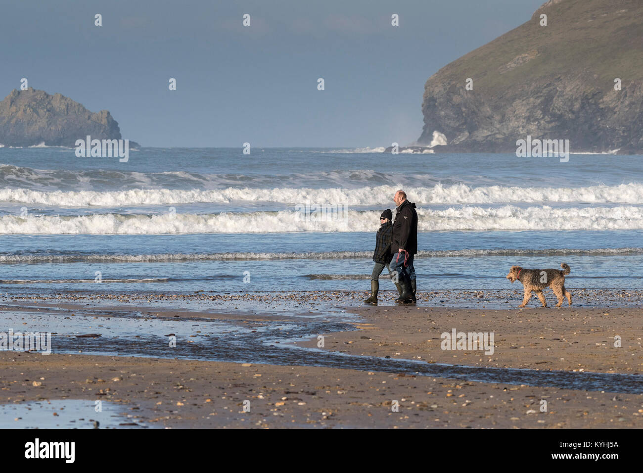 Hund zu Fuß am Strand - Hund Spaziergänger auf Polzeath Strand an der Küste von North Cornwall. Stockfoto