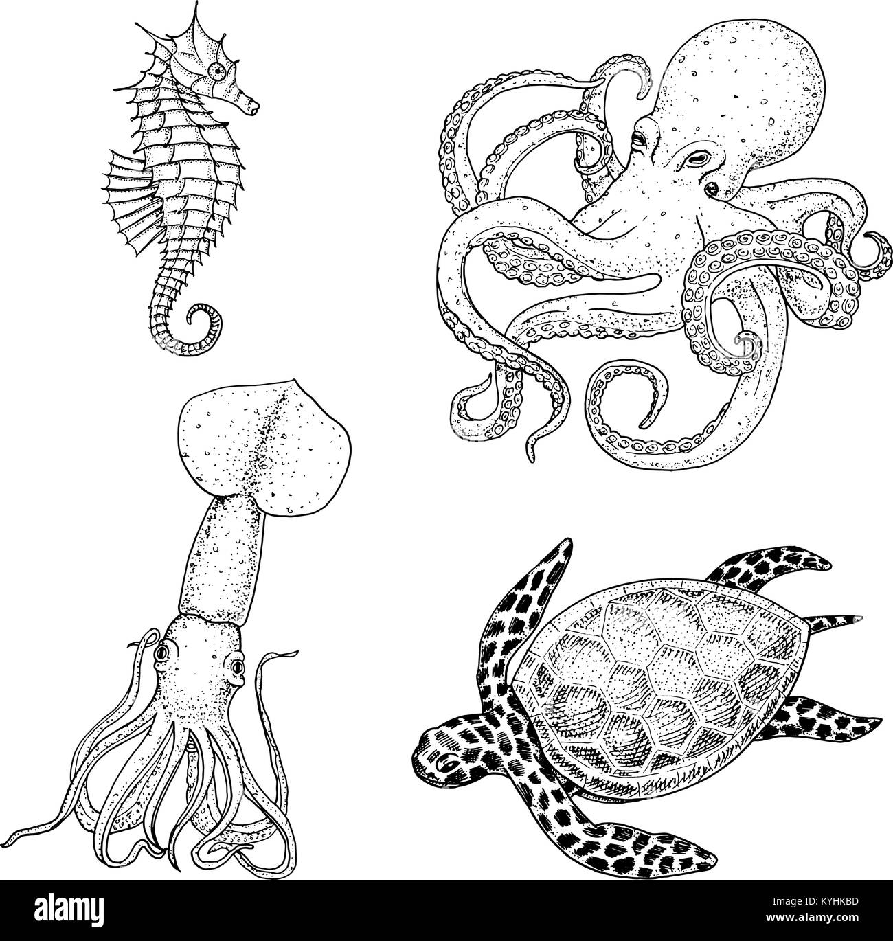 Fische oder Meeresfrüchte oder Meer Kreatur cheloniidae oder Grüne Schildkröte und Seepferdchen. Kraken und Tintenfische, Calamari. graviert Hand in alte Skizze gezeichnet, Vintage Style. nautischen oder Marine. Tiere, die in den Ozean. Stock Vektor