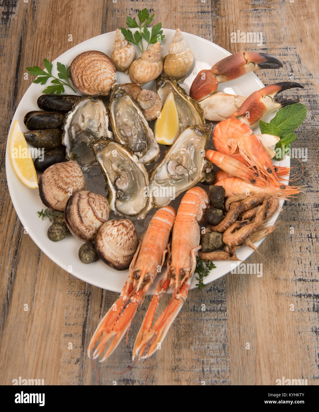 Frische Meeresfrüchteplatte mit Hummer, Muscheln und Austern, Frankreich  Stockfotografie - Alamy