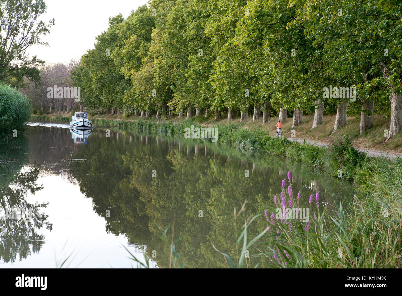 Anzeigen aus Fluss in Frankreich mit junge Radfahren auf treidelpfad mit Allee der Bäume und Motor starten im Abstand Stockfoto