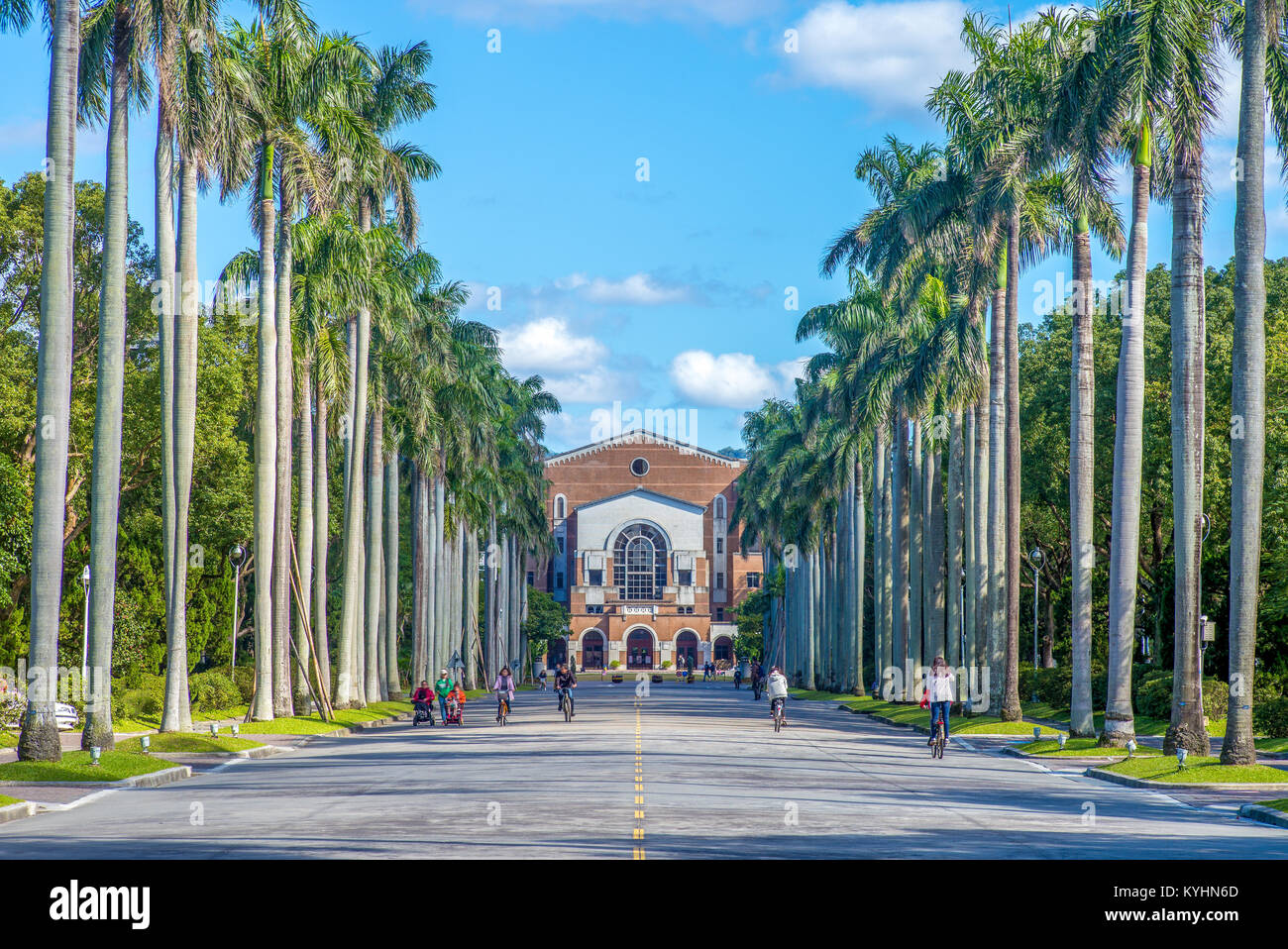 Royal Palm Boulevard in Taiwan Universität Stockfoto