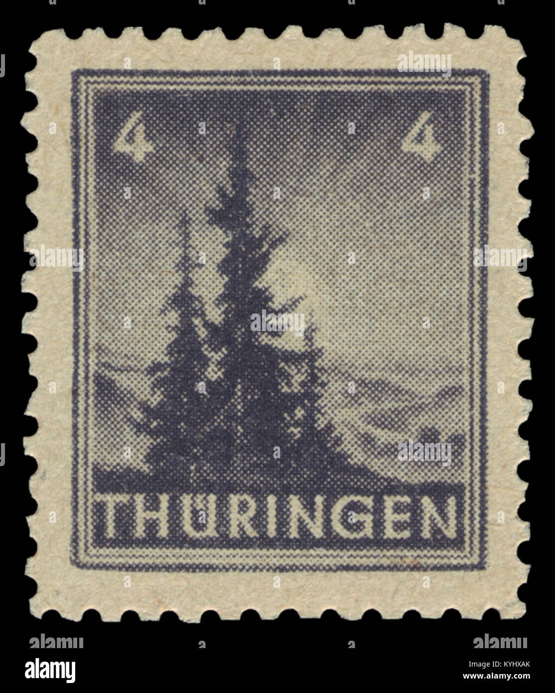 SBZ Thüringen 1945 93 Tannen Stockfoto