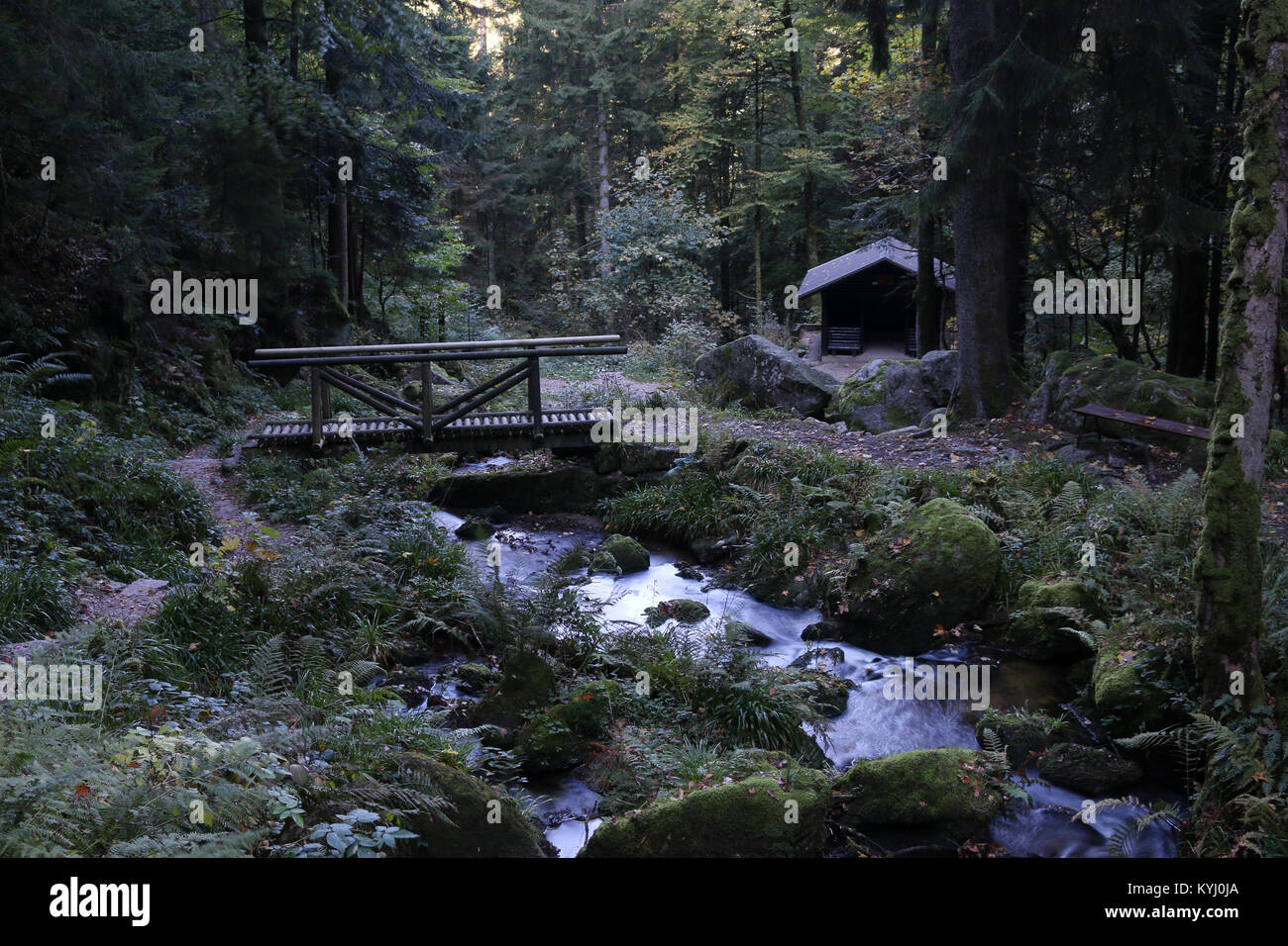 Wasserfälle in Baden-Württemberg, Deutschland Stockfoto