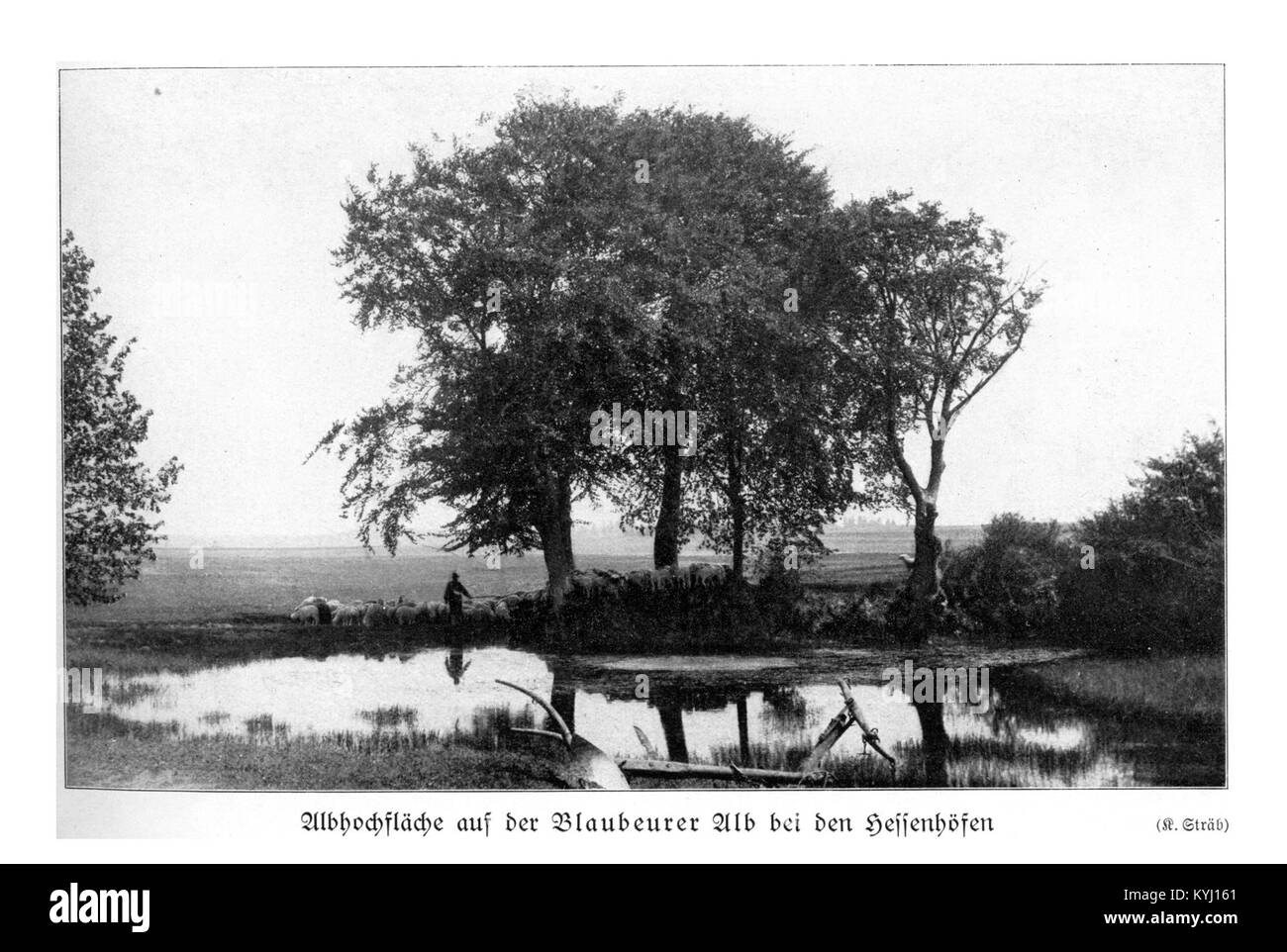Dieses Bild zeigt die Schwabenalb-Region in Deutschland, wobei Naturlandschaften, historische Architektur und kulturelle Sehenswürdigkeiten mit Schwerpunkt auf Blaubeuren hervorgehoben werden. Stockfoto