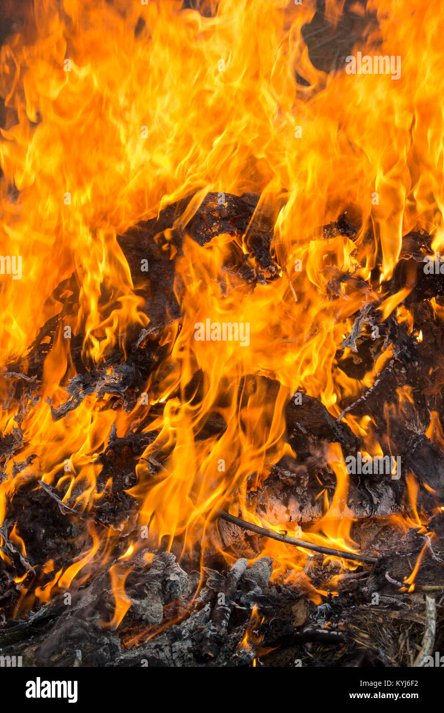 Fliegen gespitzt, Müll in Brand gesetzt und brannte in einem ländlichen Gebiet. Yorkshire, UK. Stockfoto