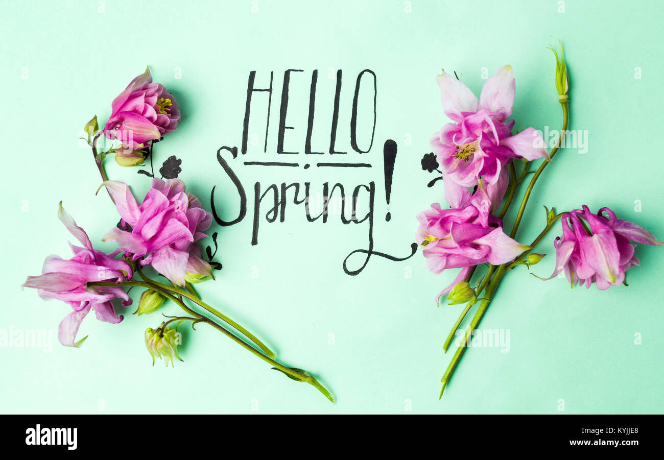 Handschriftliche Hallo Frühling Karte mit rosa Blüten auf grünem Papier Stockfoto
