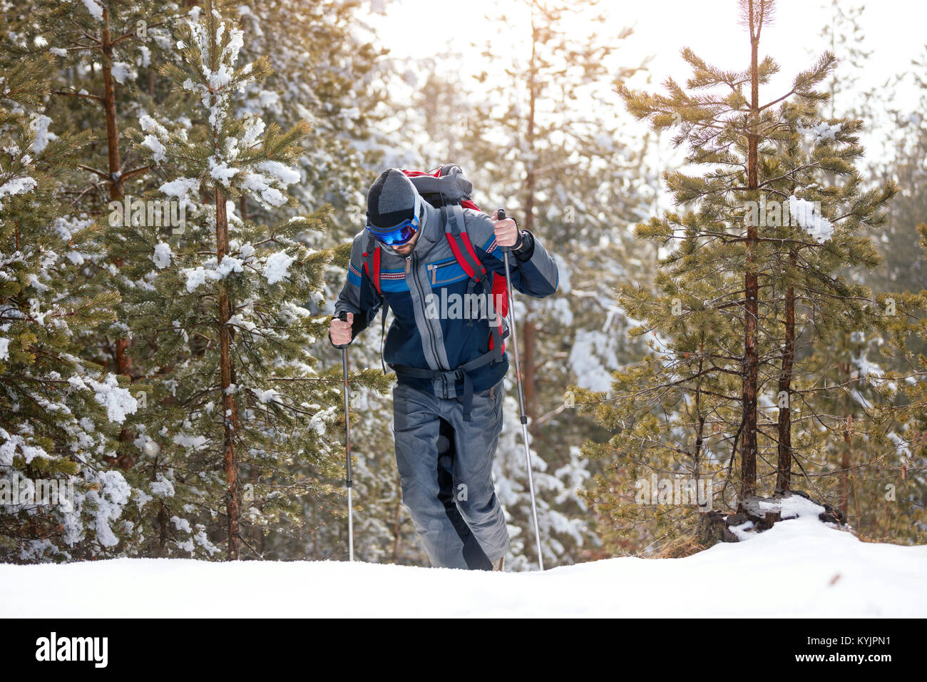 Wanderer im Winter Berge. Junger Mann mit Rucksack Trekking im Wald. Winterwandern Stockfoto