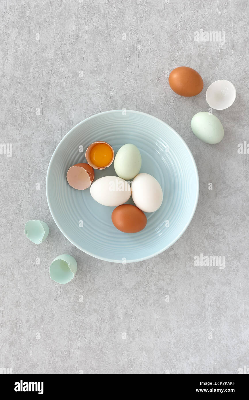 Blaue Eier, braune Eier und weißen Ente Eier, ganz und halbiert, in einem Pastell-blaue Schüssel auf Grau strukturierten Hintergrund. Ansicht von oben. Stockfoto