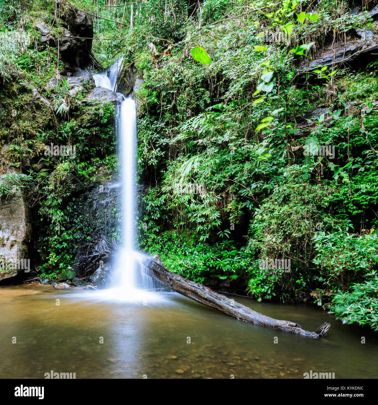 Monthathan Wasserfall in Chiang Mai, Thailand Doi Suthep Nationalpark. Stockfoto