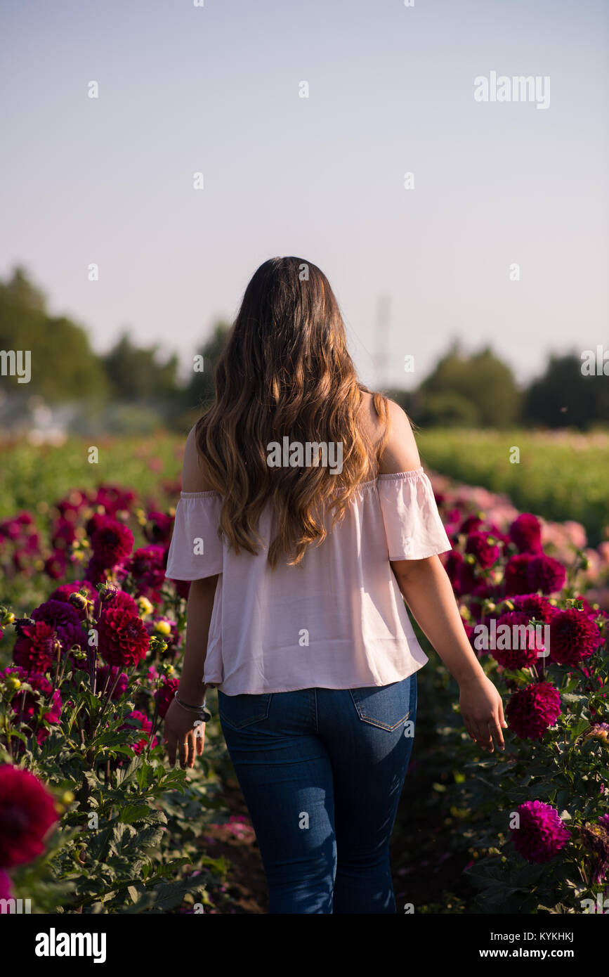 Spaziergang in einer Reihe von Blumen Stockfoto