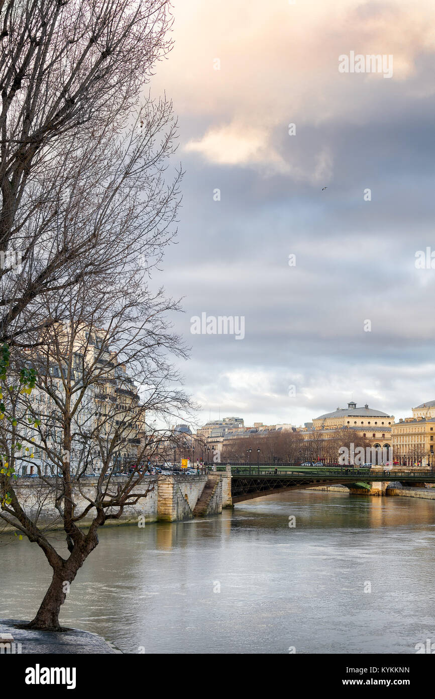 Paris in wunderschönen Pastelltönen dawn Licht. Blick auf Seine, Gebäuden, großen Baum im Vordergrund. Stockfoto