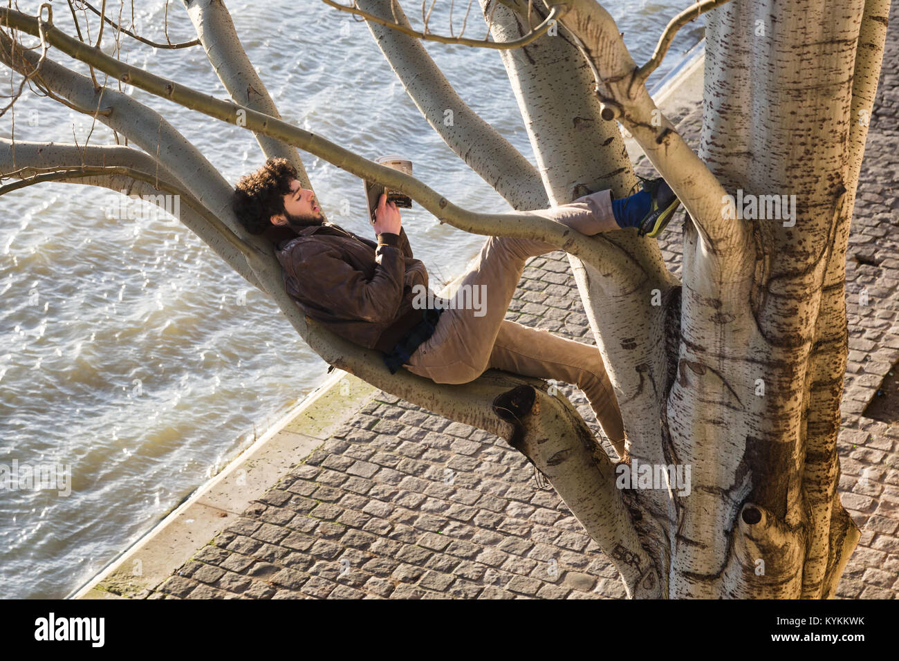 PARIS - Jan 2, 2014: Ein unbekannter junger Mann liest ein Buch, während sich auf einem Ast hoch oben in einem großen Baum entlang der Seine. Die Lage ist n Stockfoto