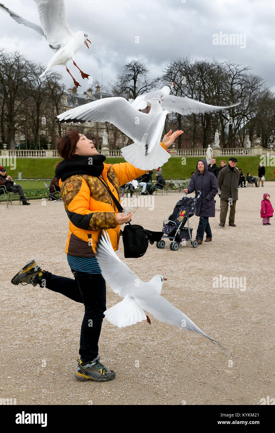 PARIS - Jan 4, 2014: Eine nicht identifizierte Frau wirft Essen in die Luft für die Vögel an den Luxembourg Gärten, eine beliebte Aktivität für Besucher am Stockfoto