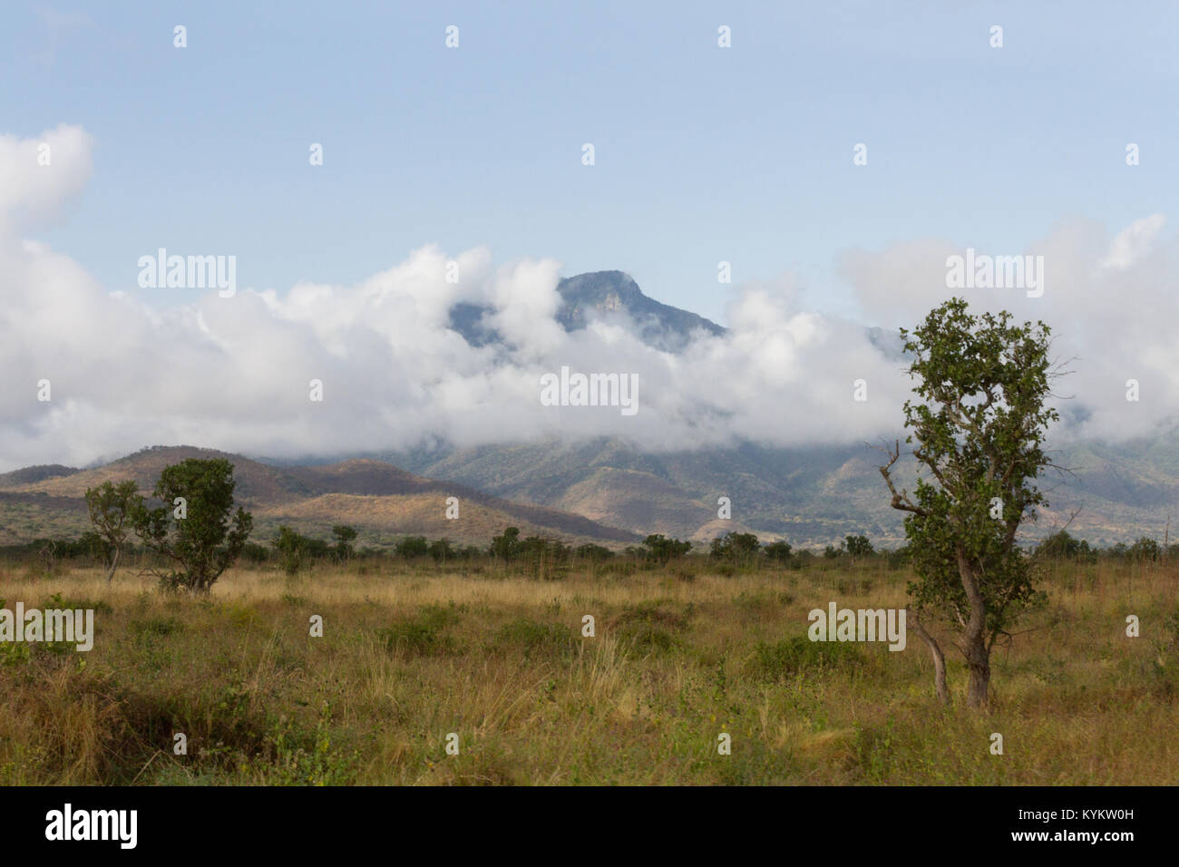 Eine Landschaft in der Serengeti National Park Stockfoto