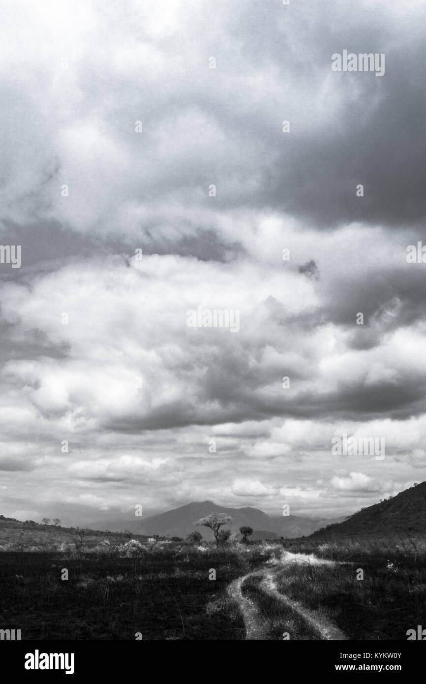 Einer malerischen Straße im Serengeti National Park Stockfoto