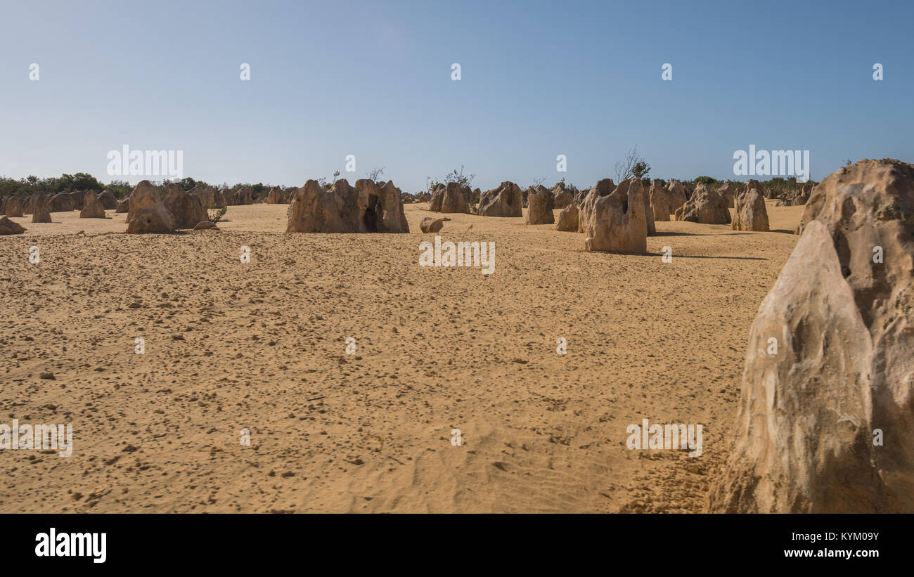 LANCELIN, Australien, WA/Western Australia - 2017 Dezember 19, den Pinnacles im Nambung Nationalpark, Nambung National Park. Der Kalkstein Pille Stockfoto