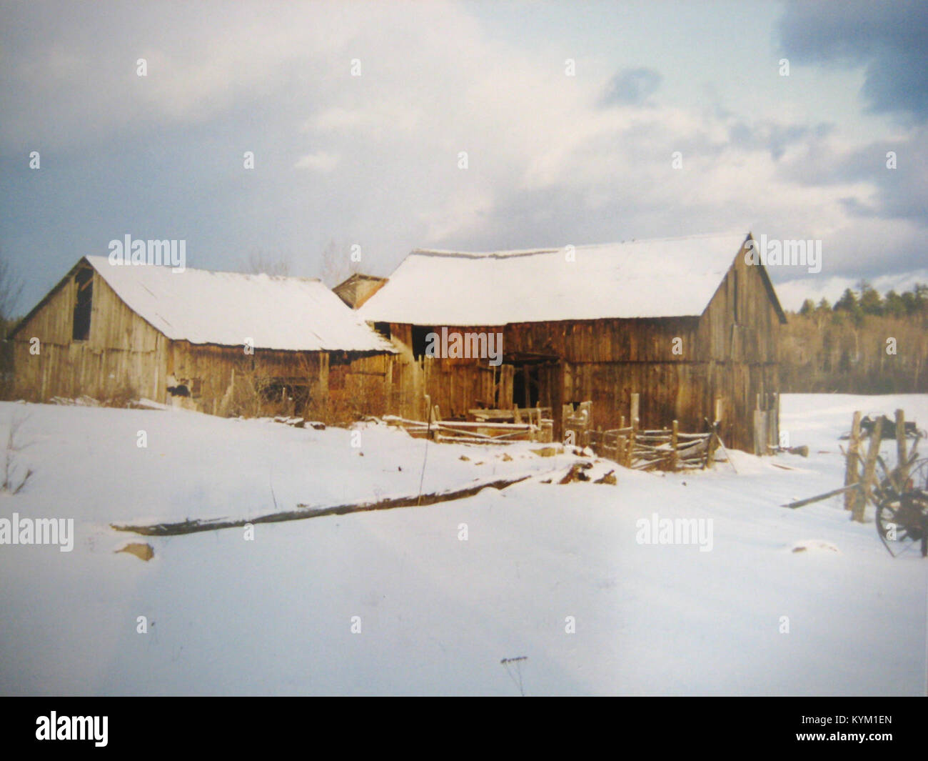 Ein historisches Foto von O'Donnells Scheunen in einer schneebedeckten ländlichen Landschaft, das das Leben der Bauern im frühen 20. Jahrhundert einfängt. Stockfoto