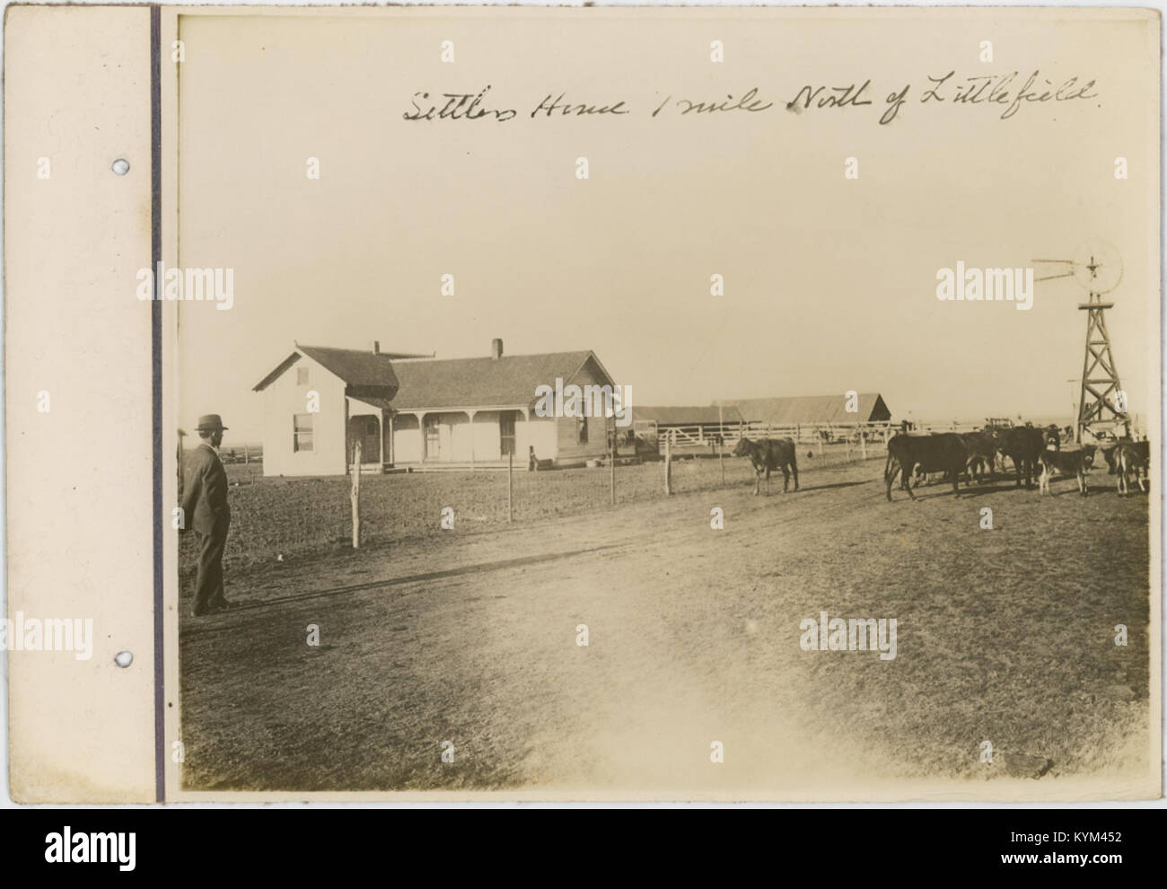 Ein historisches Bild, das das Haus eines Siedlers darstellt, das 1,5 km nördlich von Littlefield, Texas, liegt und eine ländliche Landschaft mit Vieh und Ackerland bietet. Stockfoto