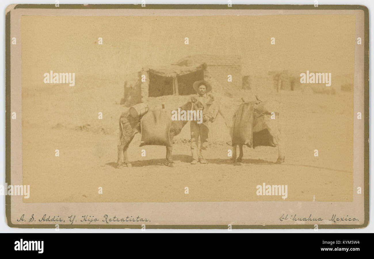 Foto eines Mannes mit Eseln in Mexiko, das wahrscheinlich das ländliche Leben oder eine traditionelle Szene aus einer historischen Periode darstellt. Stockfoto