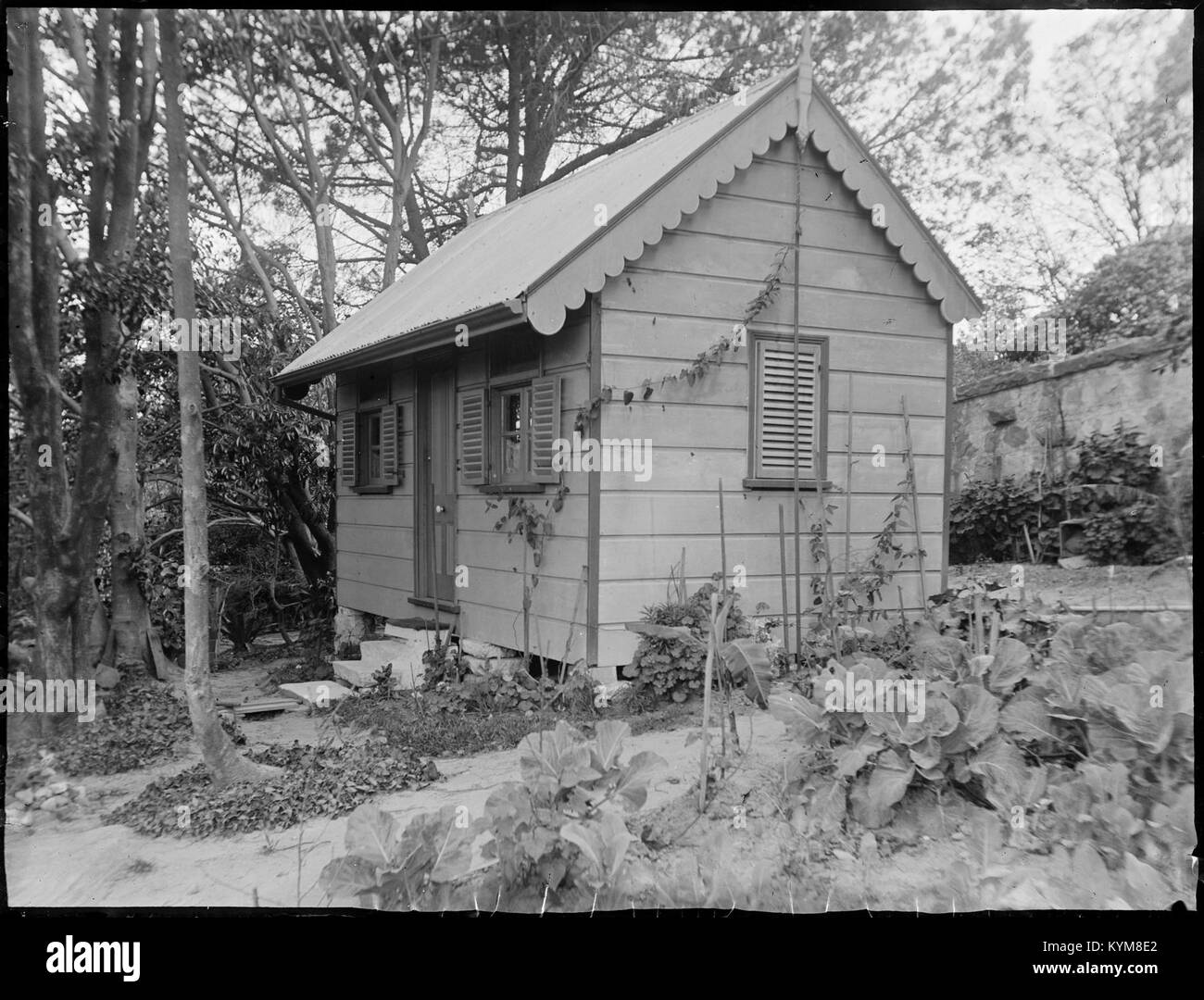 Eine Sammlung von Glasnegativen, die Bilder von Sydney und den Blue Mountains in Australien zeigen und die natürliche Schönheit und historische Architektur der Region hervorheben. Stockfoto