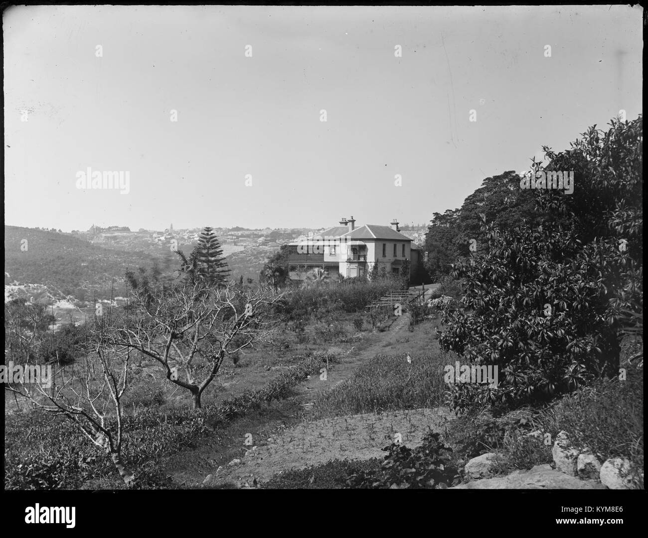 Eine Sammlung von Glasnegativen mit historischen Bildern von Sydney und den Blue Mountains, die die Landschaft und Architektur der Region im frühen 20. Jahrhundert zeigen. Stockfoto