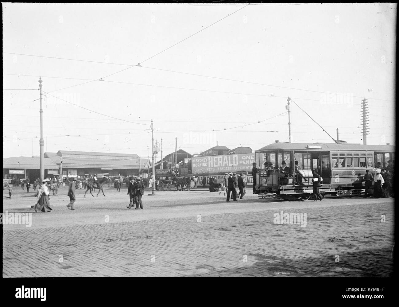 Eine Sammlung von Glasnegativen, die Bilder von Sydney und den Blue Mountains darstellen und die natürliche Schönheit und historische Landschaft der Gegend aus dem frühen 20. Jahrhundert zeigen. Stockfoto