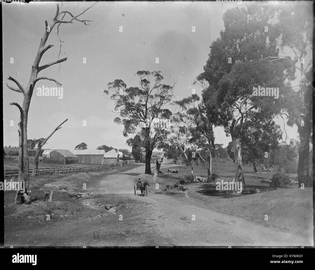 Glasnegative, die verschiedene Szenen aus Sydney und Manly darstellen, wurden für Archivzwecke in New South Wales aufgenommen. Stockfoto