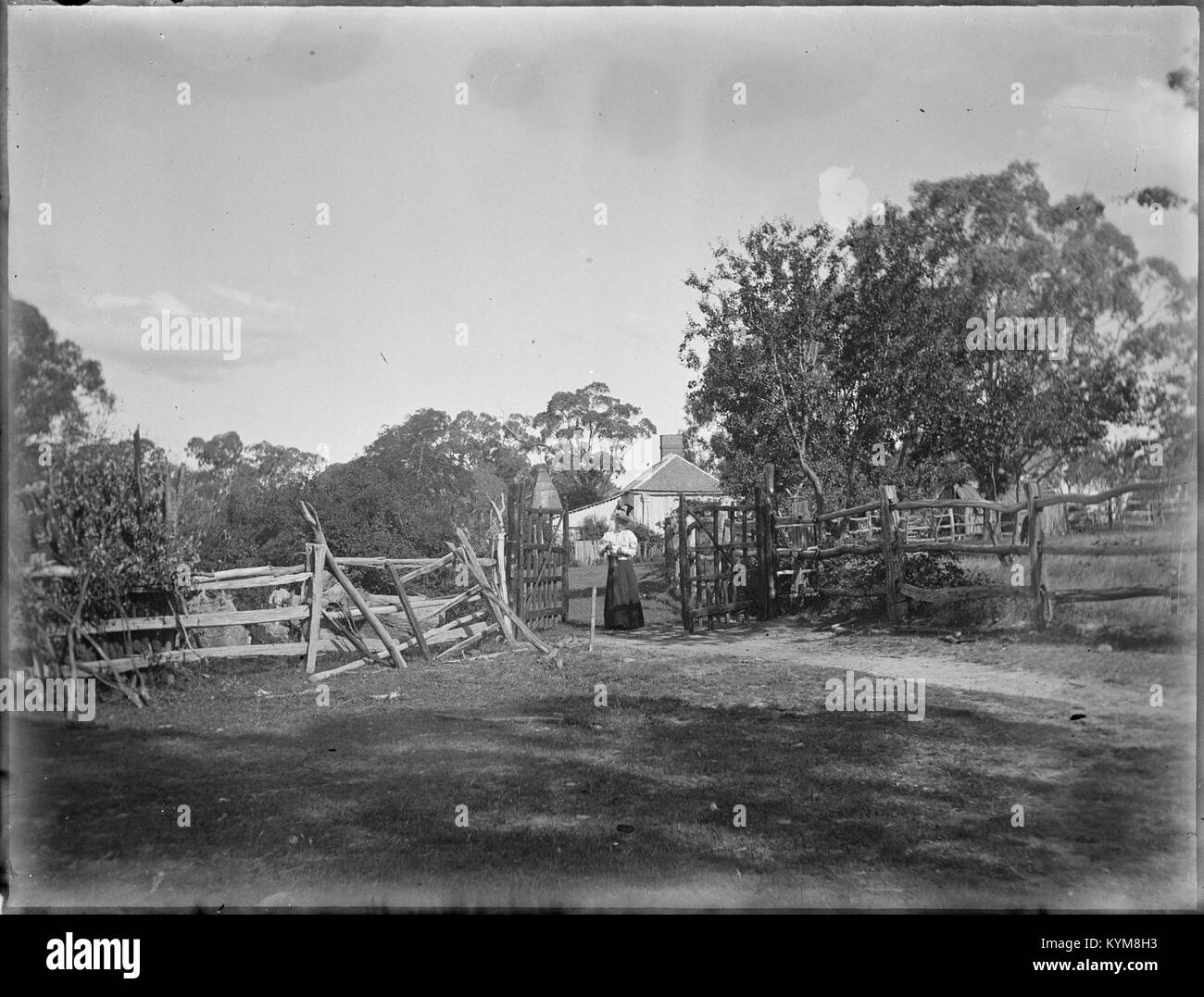 Eine Sammlung von Glasnegativen, die Szenen aus Sydney und Manly darstellen. Die Bilder erfassen historische Ansichten der beiden australischen Orte. Stockfoto