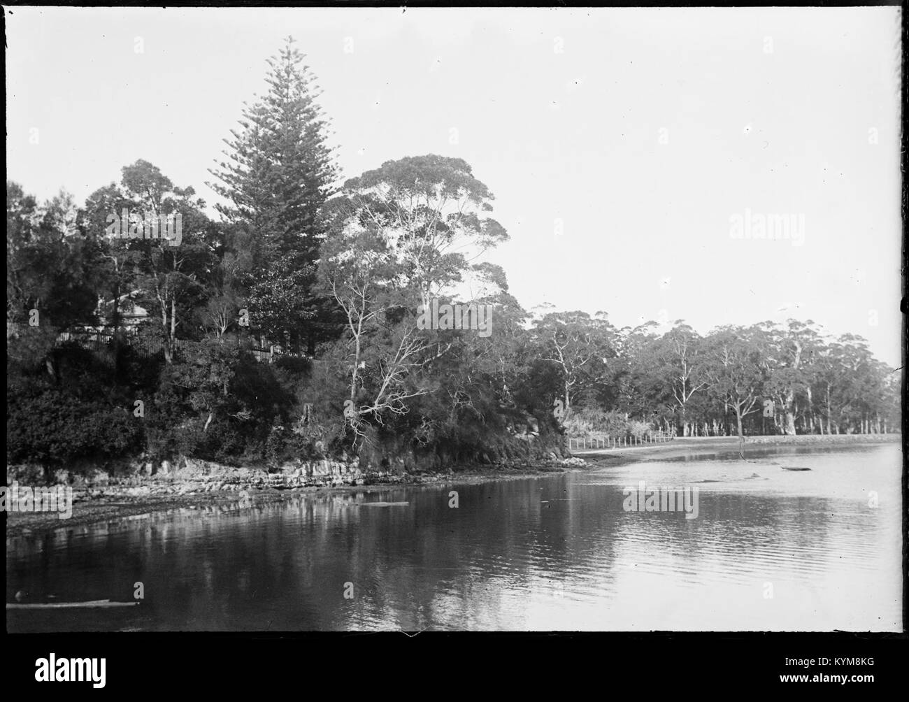 Glasnegative des Woy Woy Area, aufgenommen zwischen 1890 und 1910, zeigen die historische Landschaft und Entwicklung der Region während dieser Zeit. Stockfoto