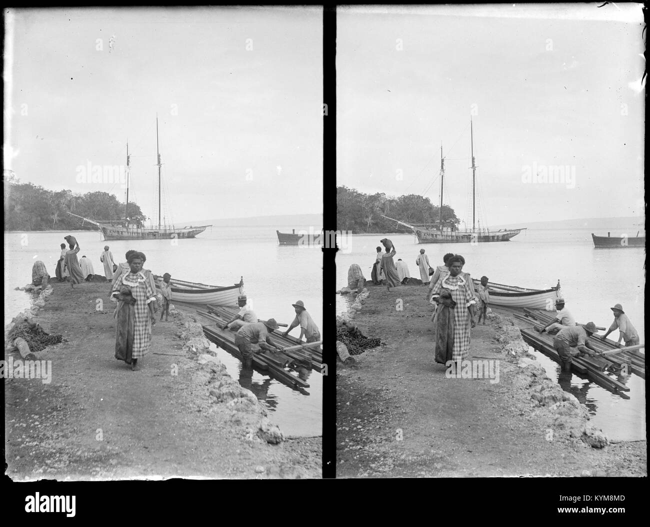 Eine historische Illustration mit Blick auf Neuseeland, Martin Place und Middle Harbour, die die natürlichen und städtischen Landschaften der Region hervorhebt. Dieses Bild befindet sich in der Sammlung der State Library of New South Wales. Stockfoto